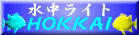 水中ライトのHOKKAI